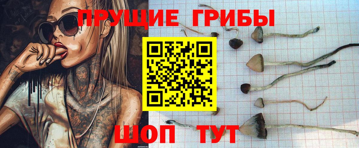 Галлюциногенные грибы прущие грибы Белебей