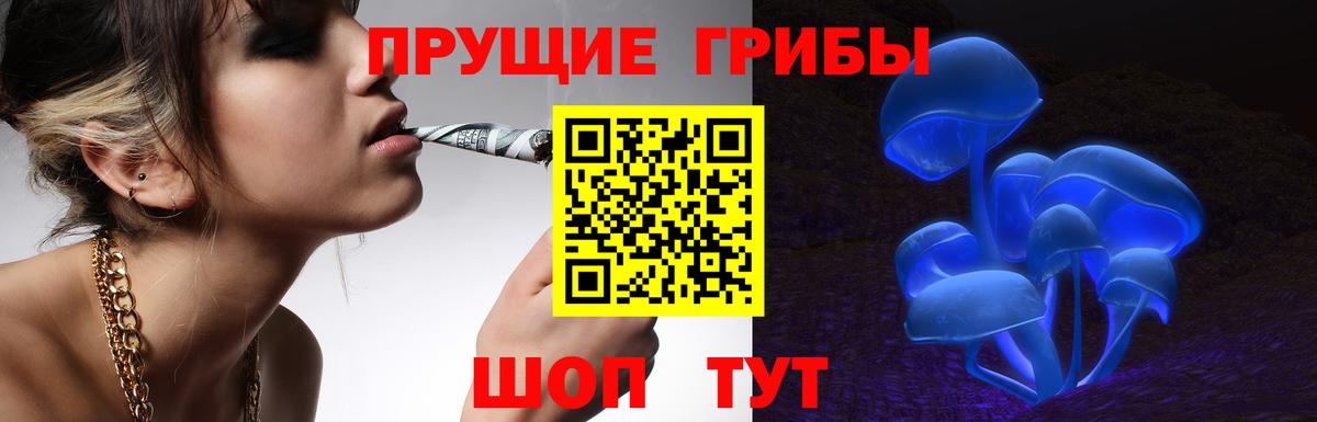 Белебей  Галлюциногенные грибы прущие грибы  Вход с VPN  Псилоцибиновые грибы Psilocybine cubensis 